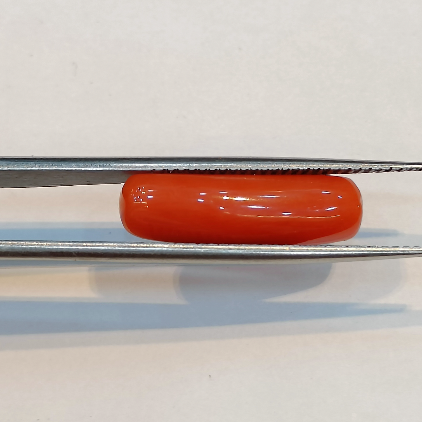 Red Coral (Moonga) - 5.45 Carats