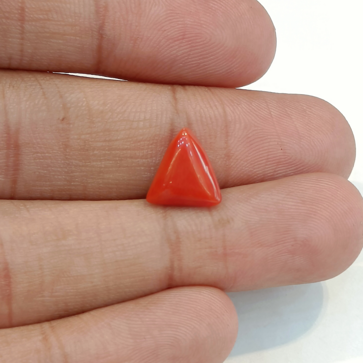 Red Coral (Moonga) - 3.56 Carats