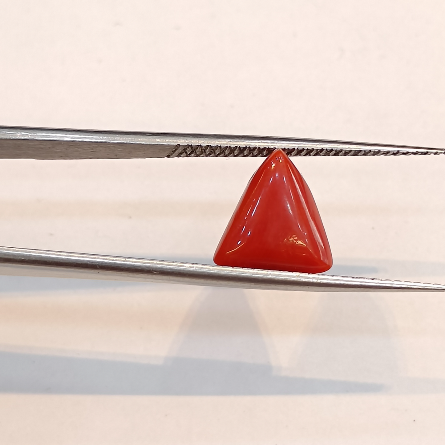 Red Coral (Moonga) - 3.56 Carats