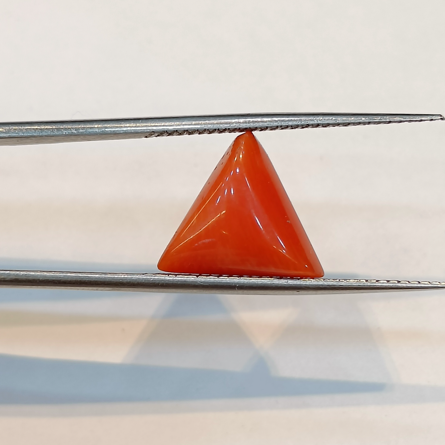 Red Coral (Moonga) - 5.42 Carats
