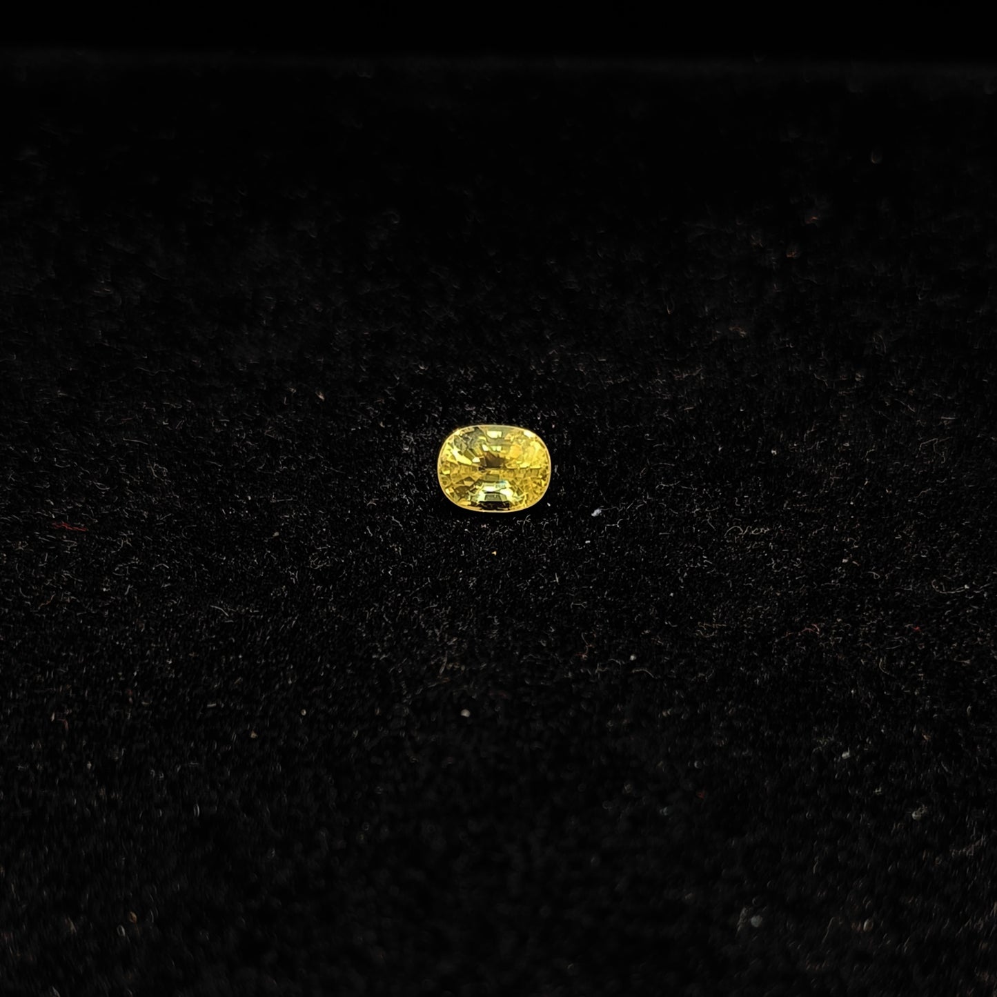 Yellow Sapphire - 2.62 Carats