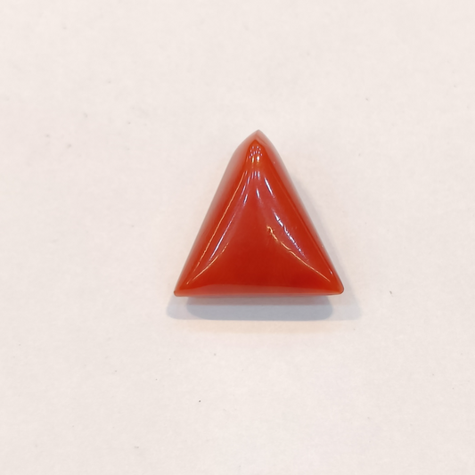 Red Coral (Moonga) - 5.60 Carats
