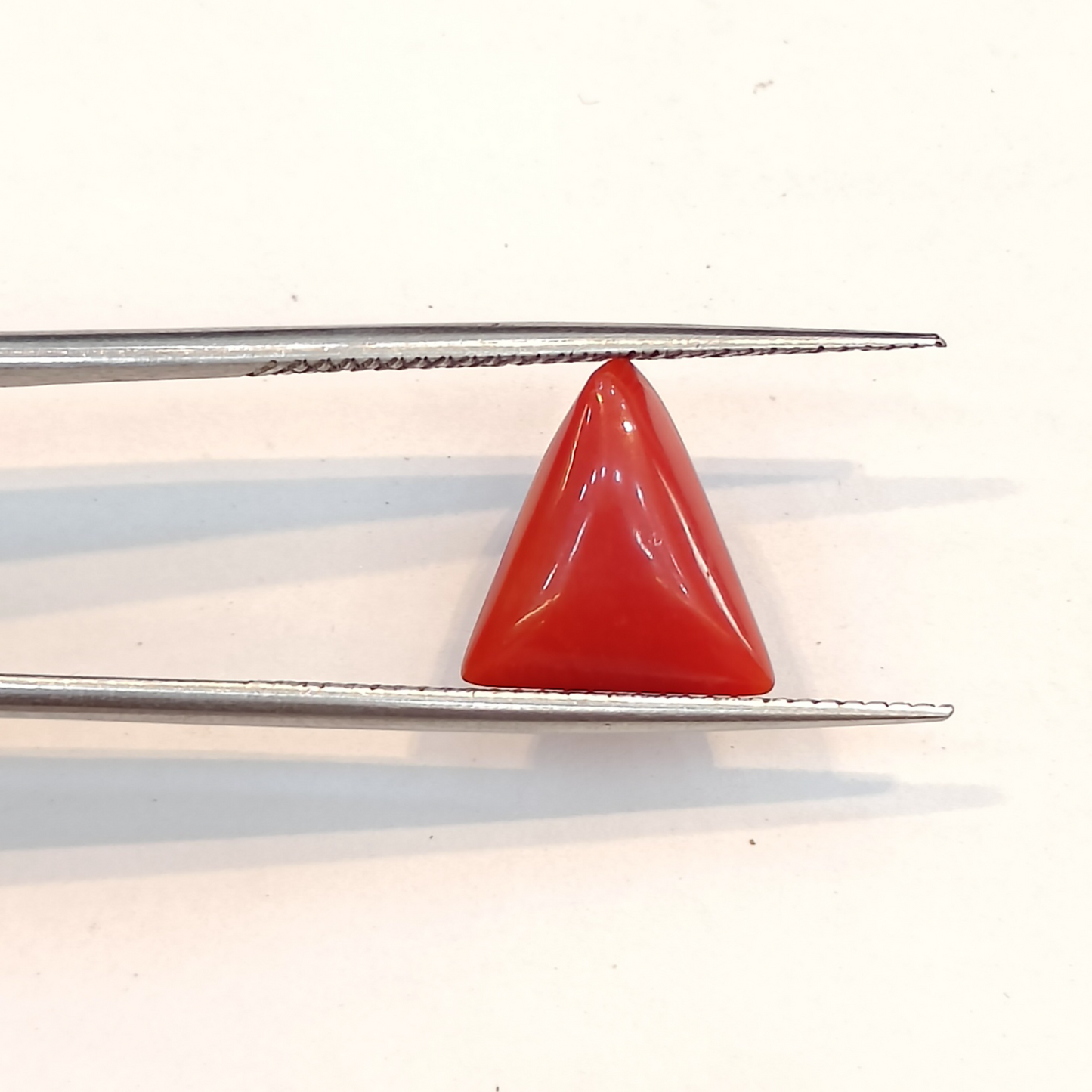 Red Coral (Moonga) - 4.08 Carats