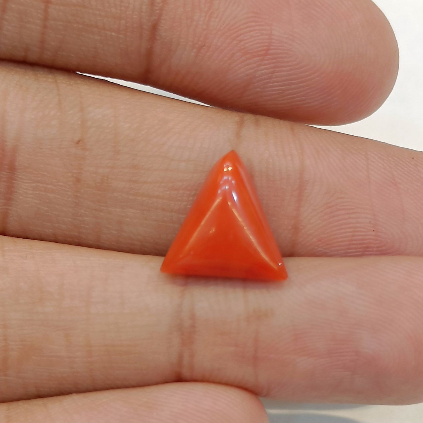 Red Coral (Moonga) - 5.60 Carats