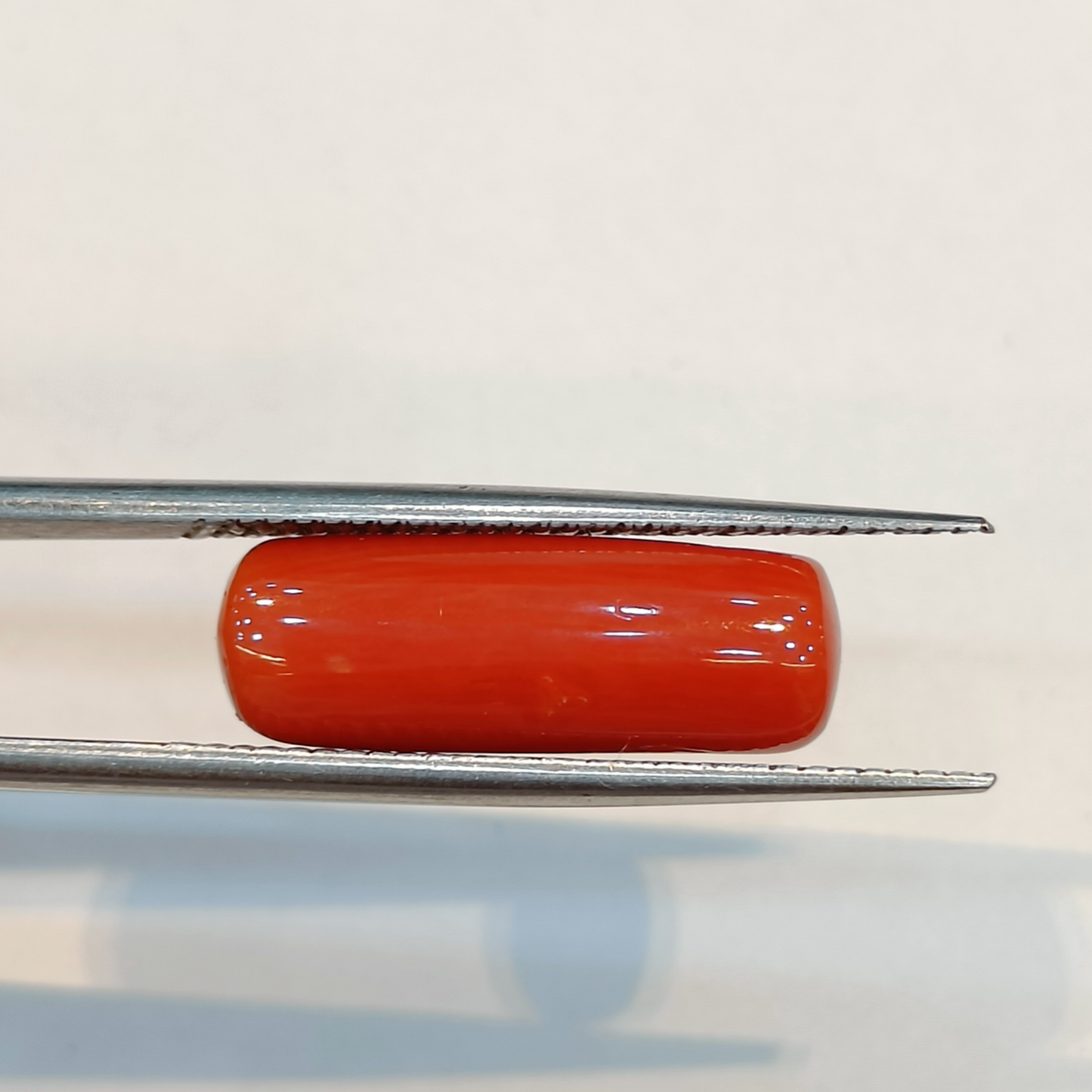 Red Coral (Moonga) - 6.13 Carats