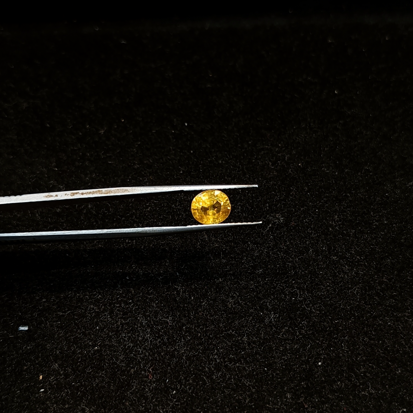Yellow Sapphire - 2.80 Carats