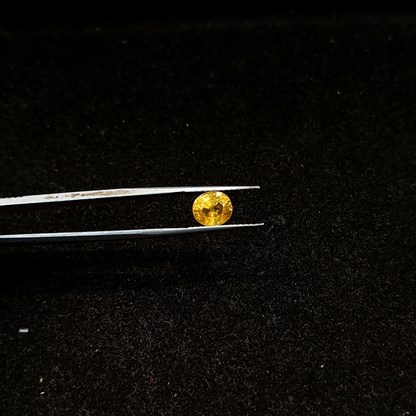 Yellow Sapphire - 2.80 Carats