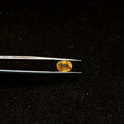 Yellow Sapphire - 2.56 Carats