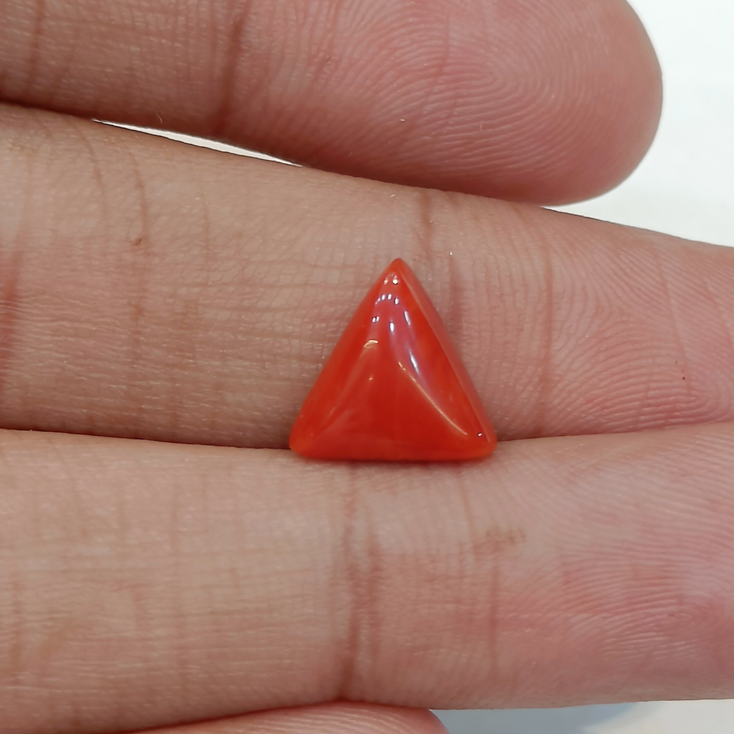 Red Coral (Moonga) - 3.46 Carats