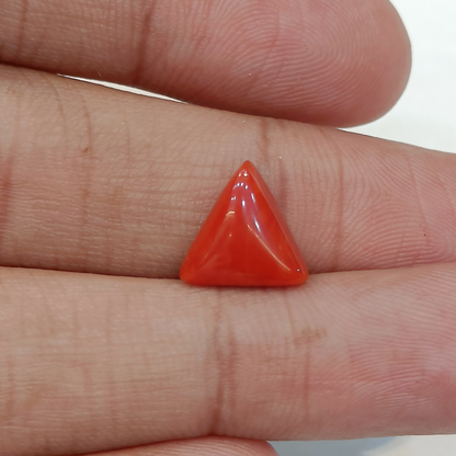 Red Coral (Moonga) - 3.46 Carats