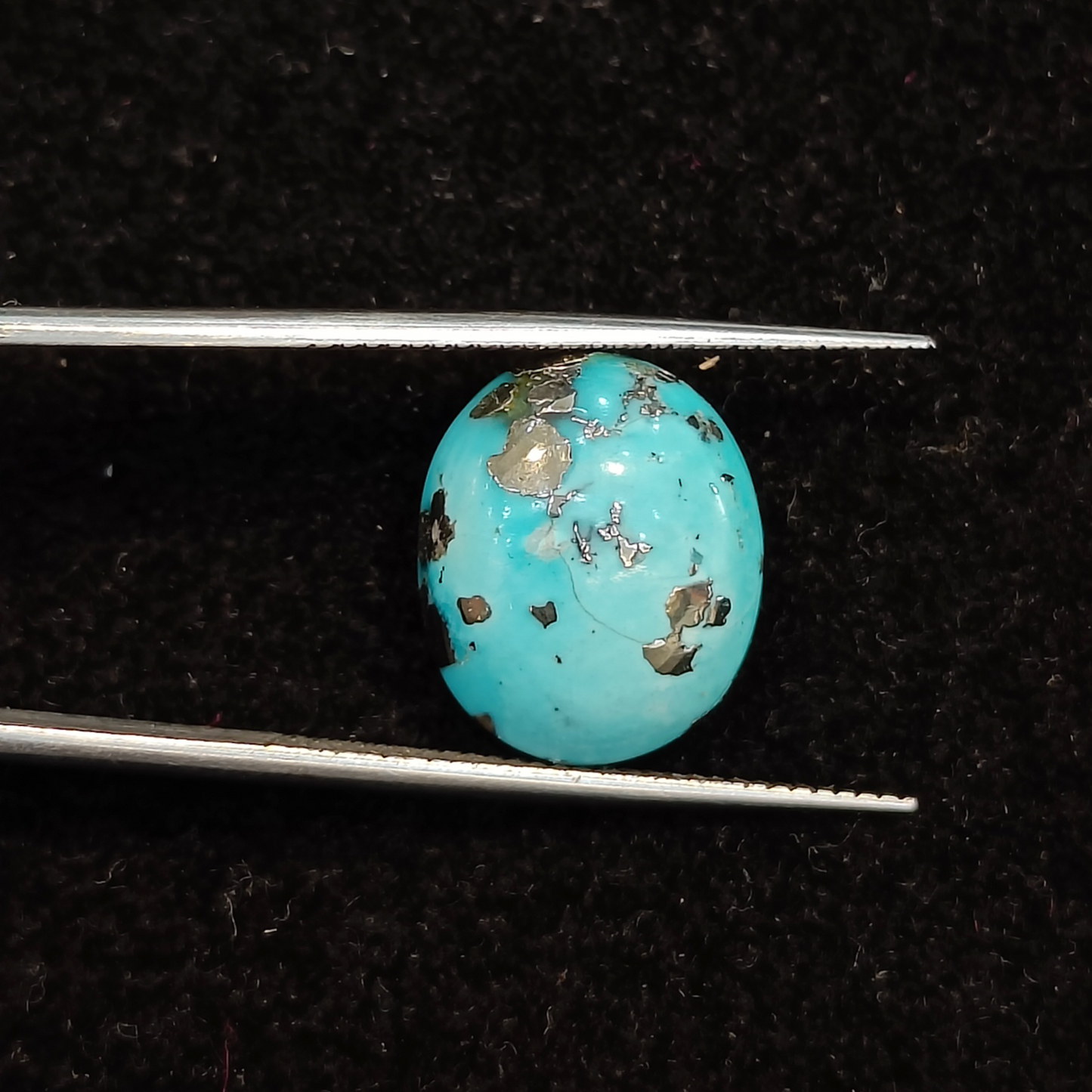 Turquoise (Firoza) - 6.79 Carats