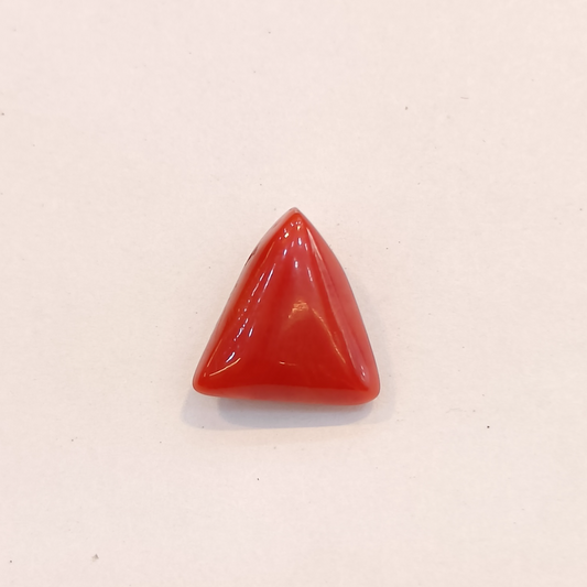 Red Coral (Moonga) - 3.56 Carats