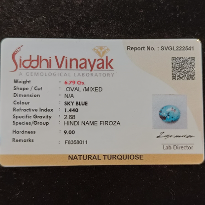 Turquoise (Firoza) - 6.79 Carats