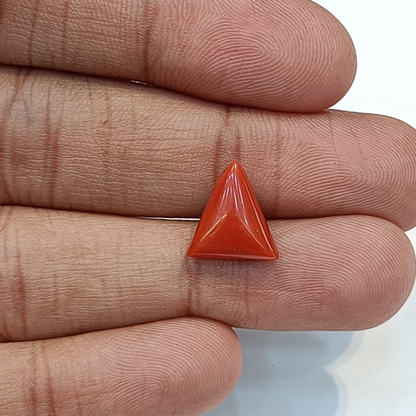 Red Coral (Moonga) - 4.52 Carats