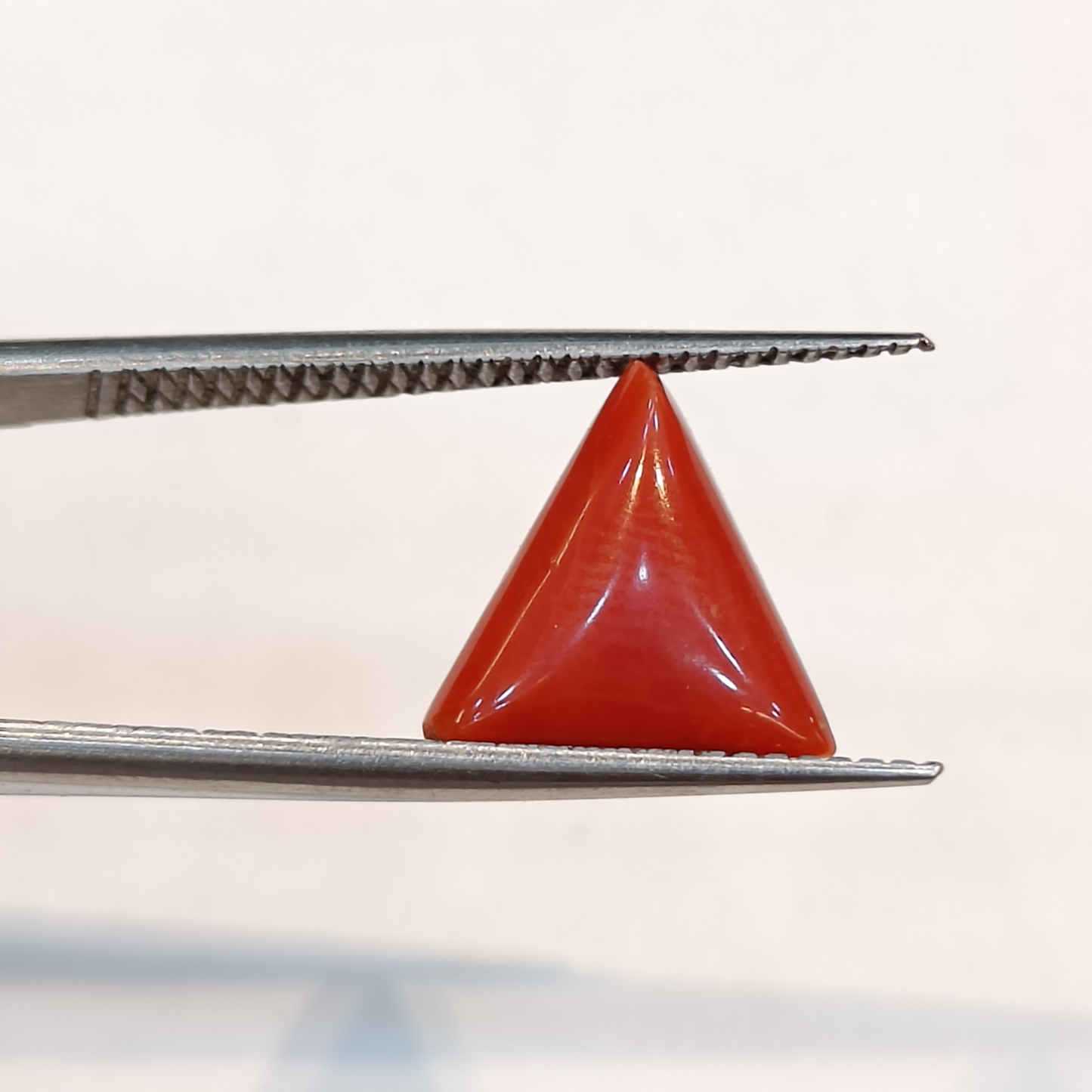 Red Coral (Moonga) - 3.52 Carats