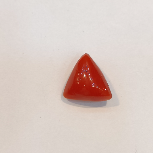 Red Coral (Moonga) - 3.50 Carats