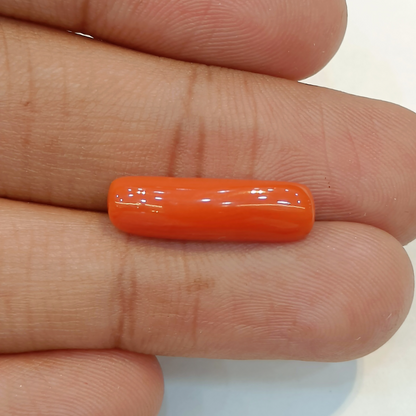 Red Coral (Moonga) - 6.02 Carats