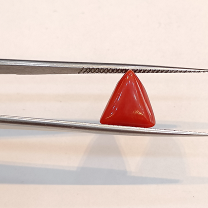 Red Coral (Moonga) - 3.56 Carats