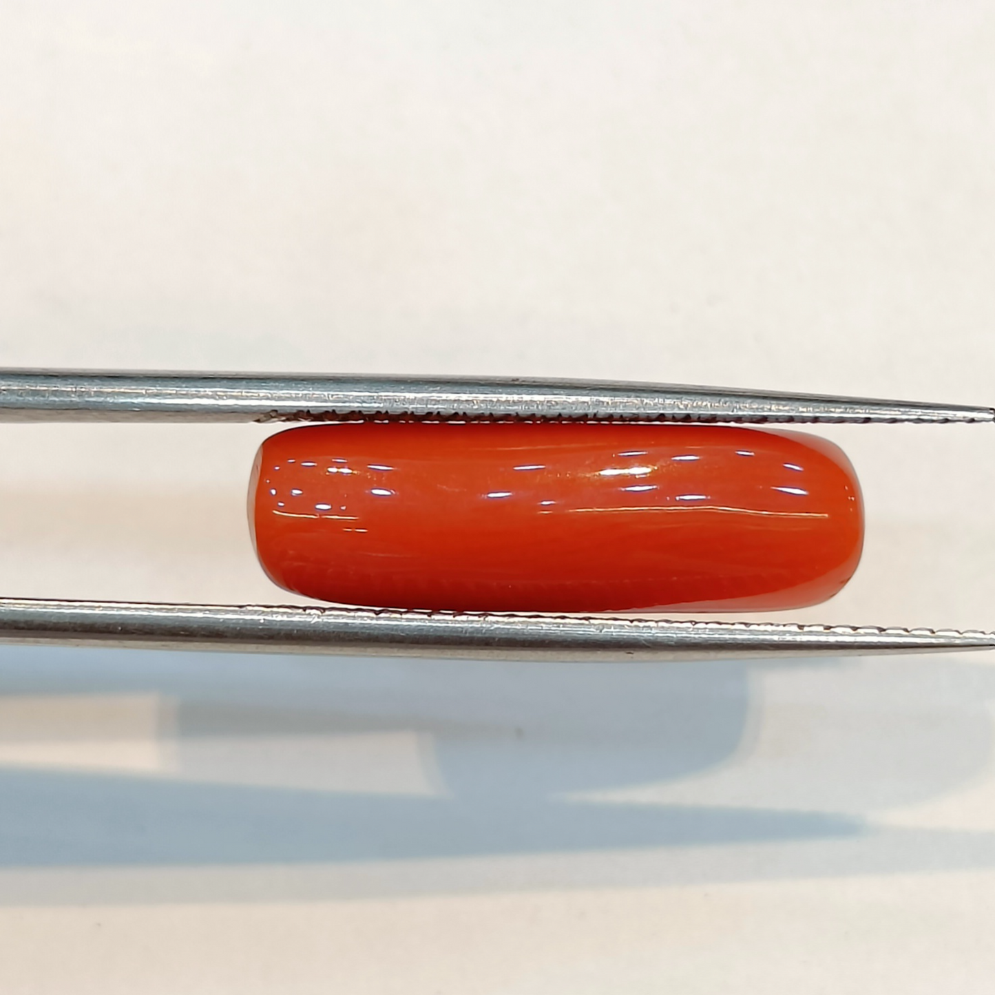 Red Coral (Moonga) - 6.02 Carats