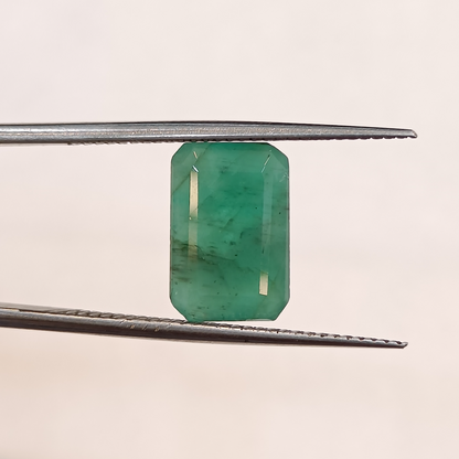 Emerald (Panna) - 4.02 Carats