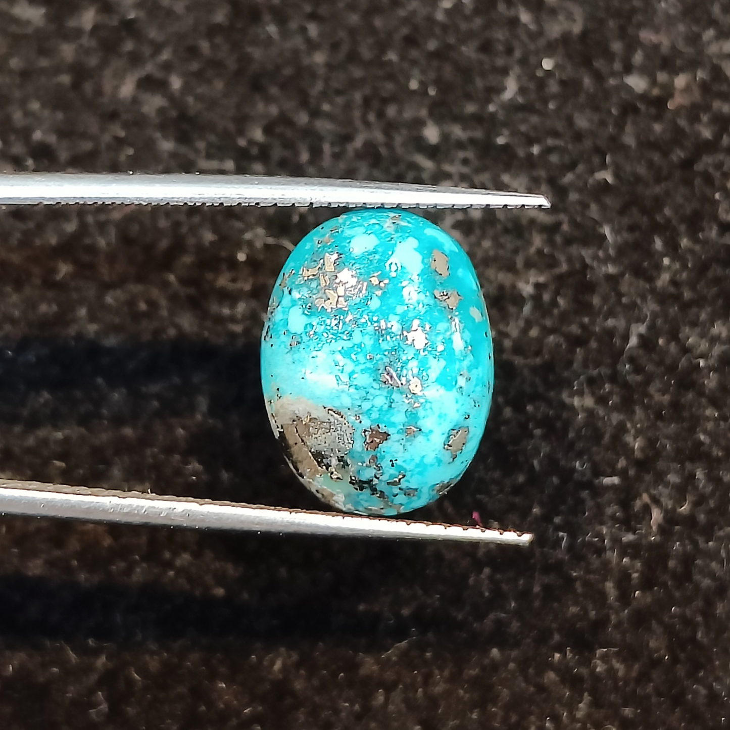 Turquoise (Firoza) - 6.20 Carats