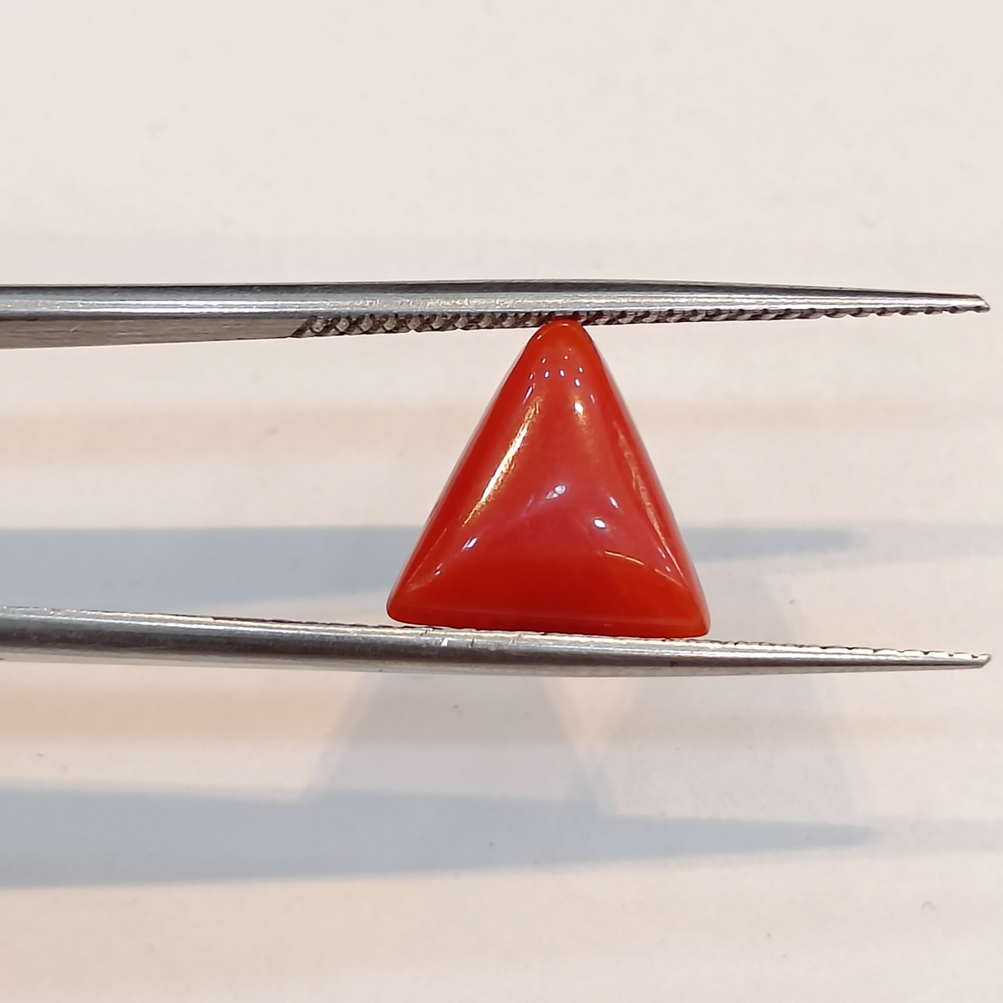 Red Coral (Moonga) - 3.45 Carats