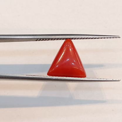 Red Coral (Moonga) - 3.45 Carats