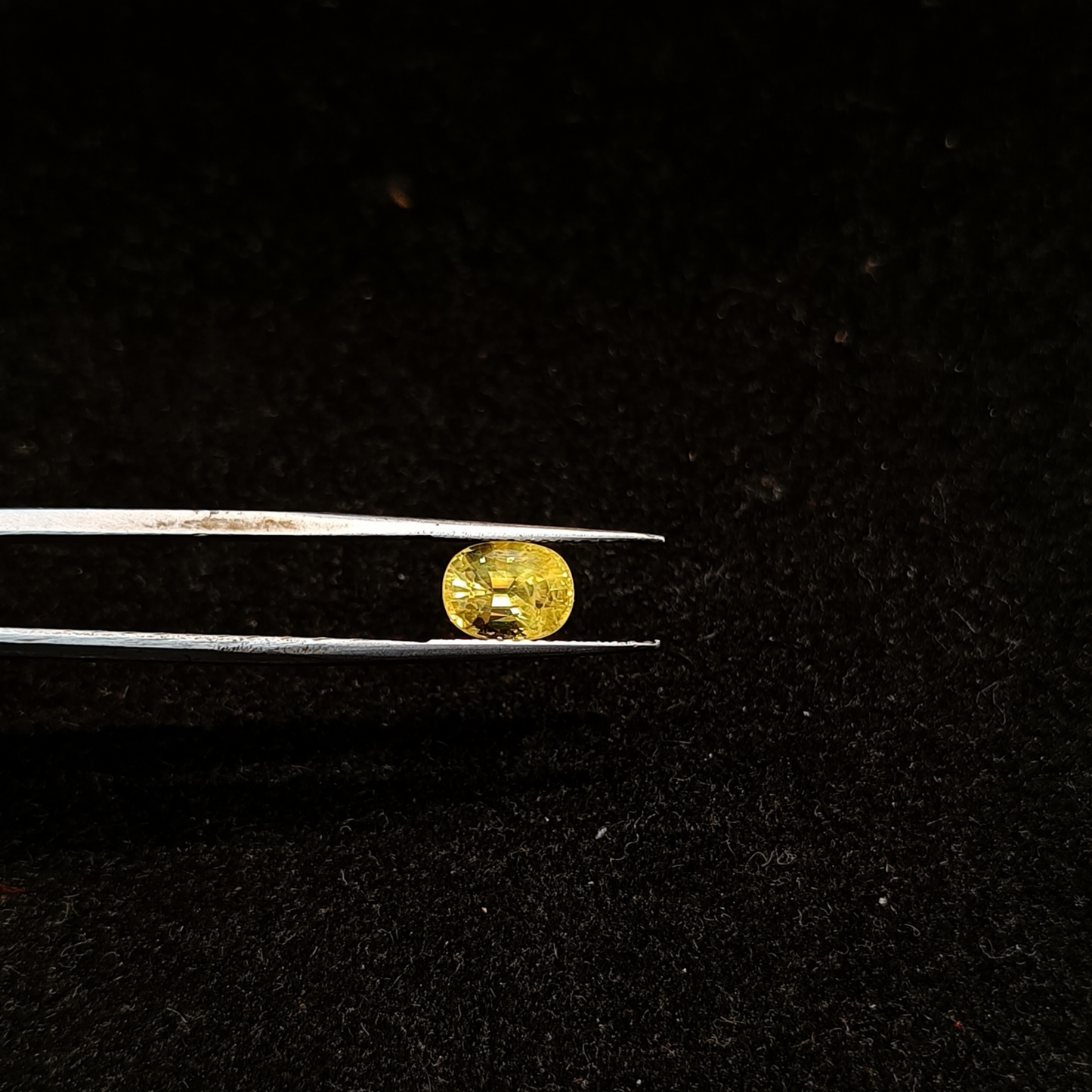 Yellow Sapphire - 2.62 Carats