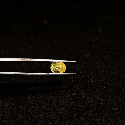 Yellow Sapphire - 2.62 Carats