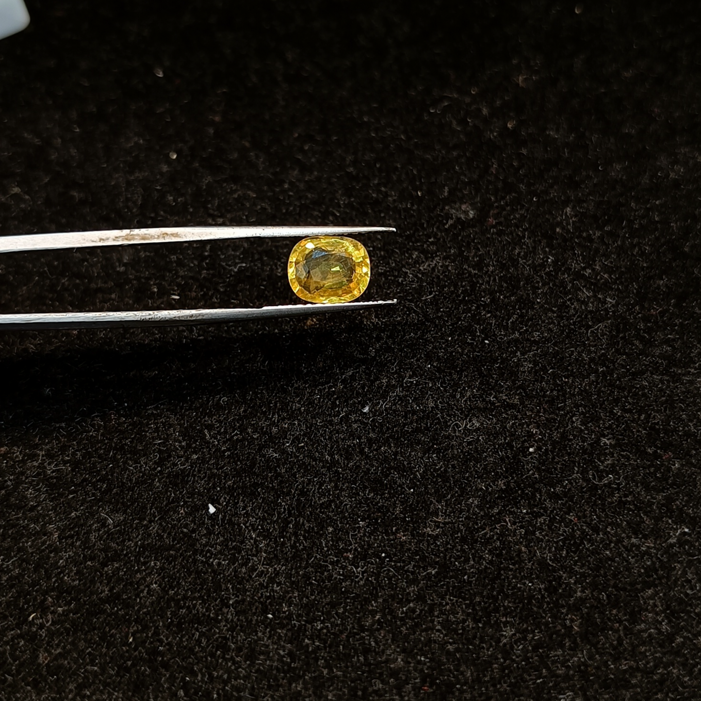 Yellow Sapphire - 2.58 Carats