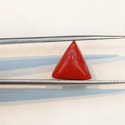 Red Coral (Moonga) - 3.46 Carats