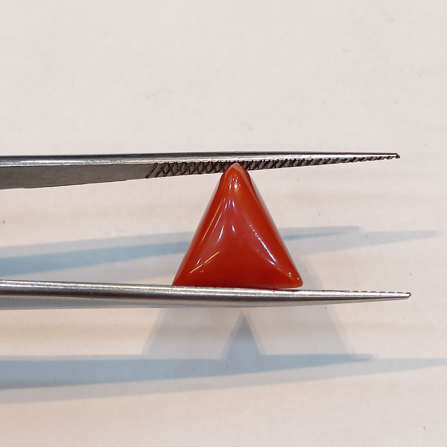 Red Coral (Moonga) - 5.60 Carats