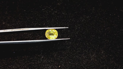Yellow Sapphire - 2.47 Carats