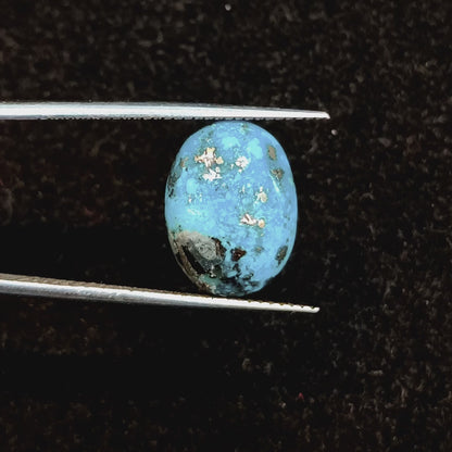 Turquoise (Firoza) - 6.20 Carats