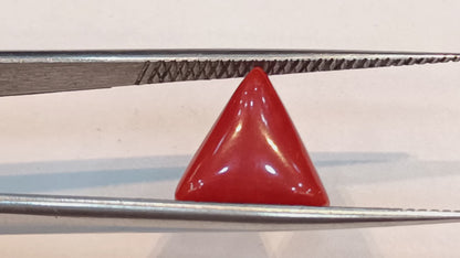 Red Coral (Moonga) - 3.46 Carats