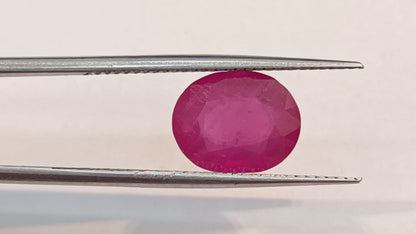 Ruby (Manik) -  4.00 Carats