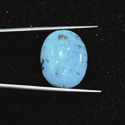 Turquoise (Firoza) - 18.00 Carats