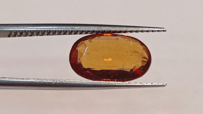 Hessonite (Gomed) - 4.00 Carats