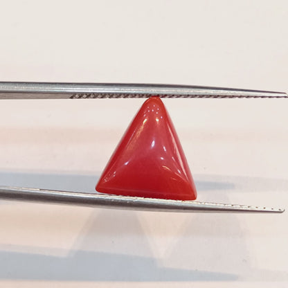 Red Coral (Moonga) - 3.45 Carats