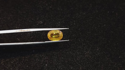 Yellow Sapphire - 2.60 Carats
