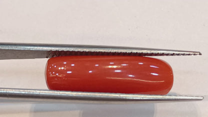 Red Coral (Moonga) - 6.02 Carats