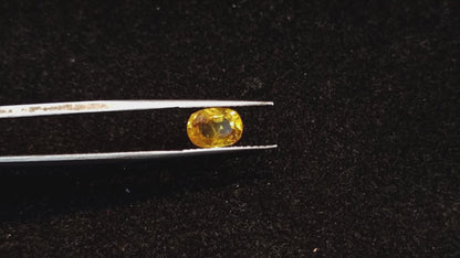Yellow Sapphire - 2.56 Carats