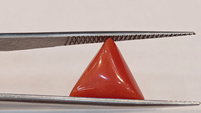 Red Coral (Moonga) - 5.42 Carats