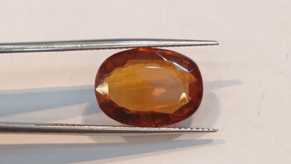 Hessonite (Gomed) - 8.78 Carats