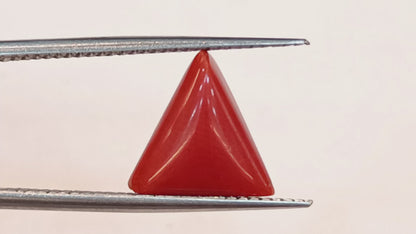 Red Coral (Moonga) - 3.52 Carats