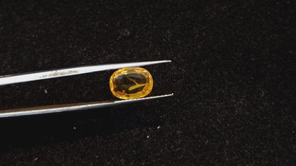 Yellow Sapphire - 3.50 Carats
