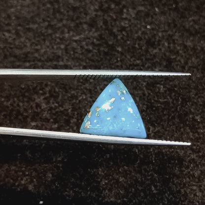 Turquoise (Firoza) - 5.20 Carats