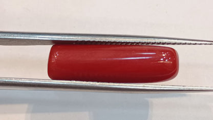 Red Coral (Moonga) - 7.85 Carats