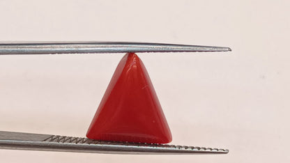 Red Coral (Moonga) - 4.52 Carats